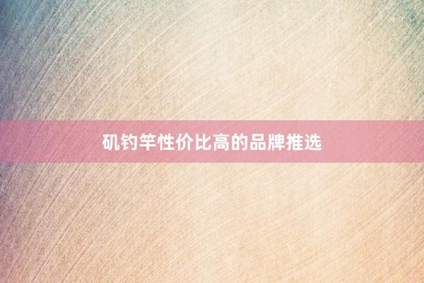 矶钓竿性价比高的品牌推选